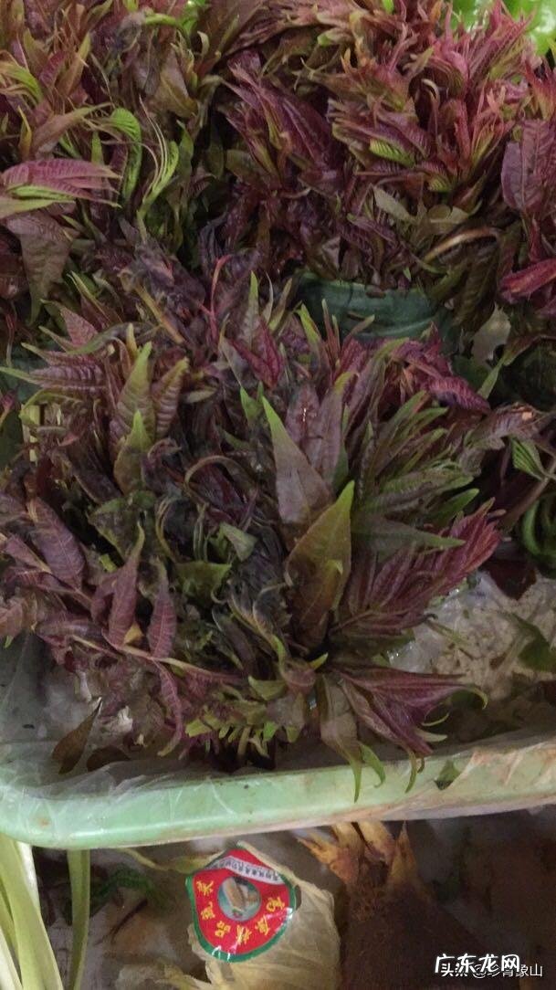 这个季节吃什么蔬菜比较好,怎么做好吃?