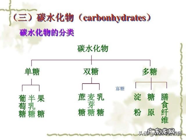 什么是碳水化合物?含高碳水化合物的食物有哪些?