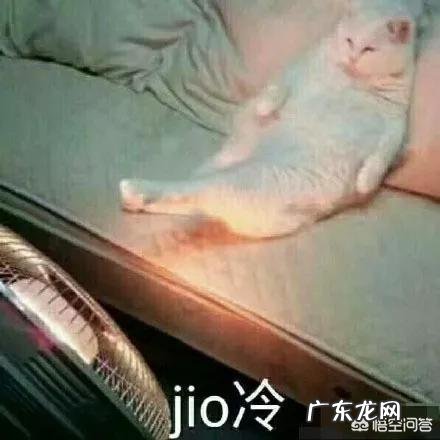 聊一聊90后的“老阿姨”如何养生?