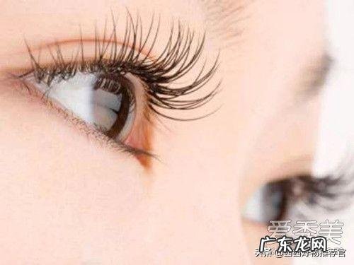 效果最好的睫毛增长液是哪款?