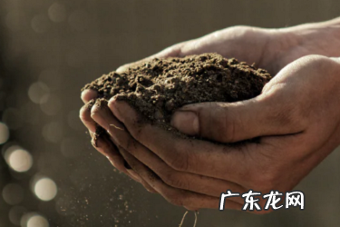 淘宝直通车计算机设备质量得分如何优化?技巧有哪些?