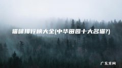 中华田园十大名猫? 猫咪排行榜大全