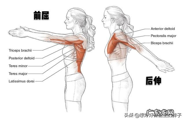 得了肩周炎,胳膊酸痛无法睡觉,该怎么办?