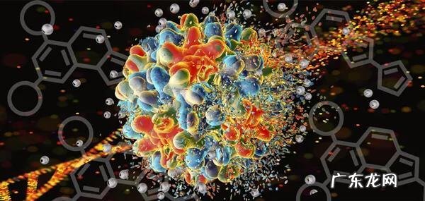 得了艾滋病是种怎样的体验？