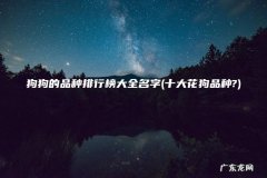 十大花狗品种? 狗狗的品种排行榜大全名字