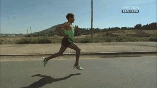 为什么健身房里有的教练不建议通过跑步健身?