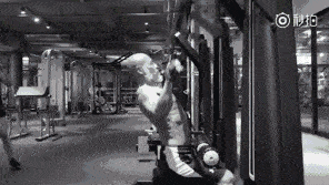 50岁以后适合哪些增肌锻炼？