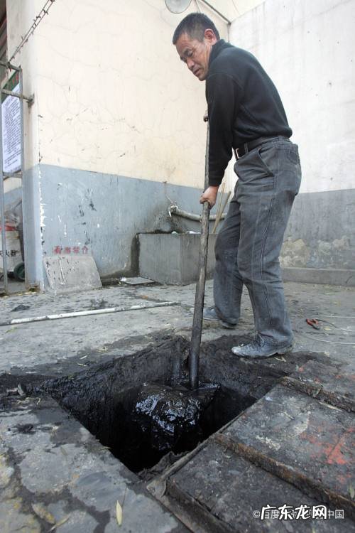 赚钱 有哪些冷门的赚钱的项目呢