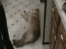 断食减肥你尝试了吗，坚持多长时间？