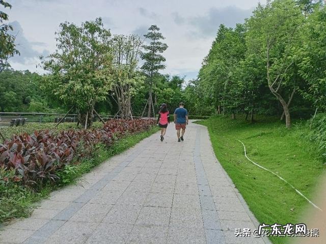 跑步与走路减肥哪个效果好?