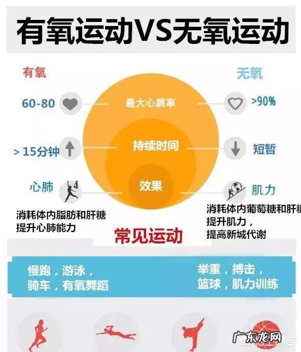 减脂训练中,单从训练来说,无氧重要还是有氧重要?