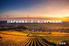 日本护肤品品牌 日本护肤销售排行榜10强