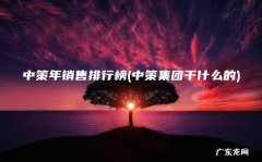中策集团干什么的 中策年销售排行榜