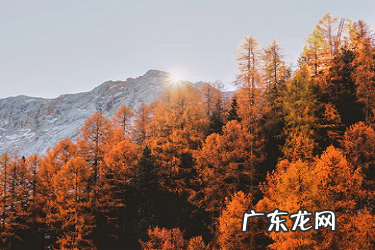 支付宝店员通是干嘛的?如何使用?