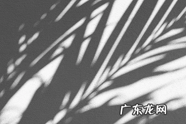 支付宝店员通怎么使用?最多添加几个?