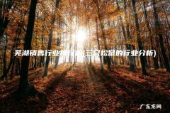 三只松鼠的行业分析 芜湖销售行业排行榜