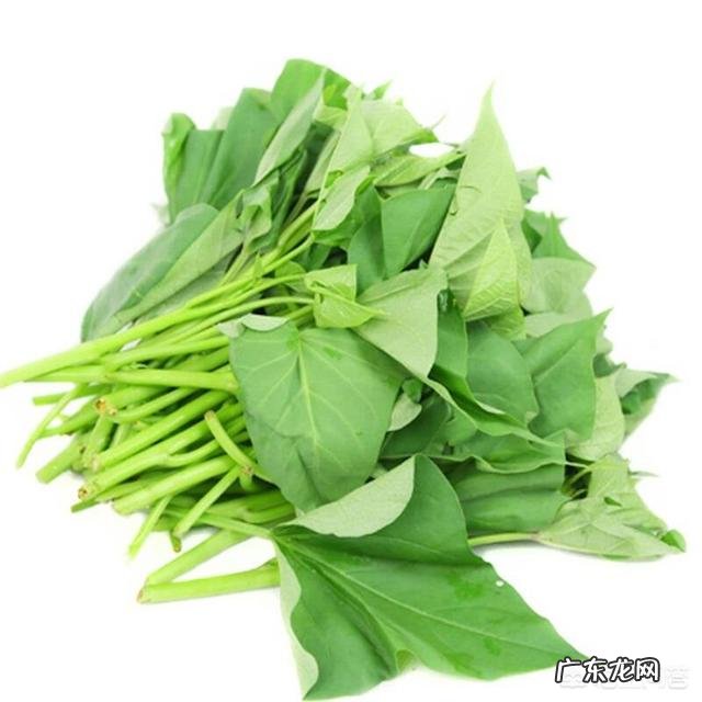 没什么时间运动,如何在一个月内瘦十斤,并且保持健康?