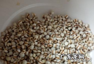 怎么制作茯苓薏米姜茶呢？