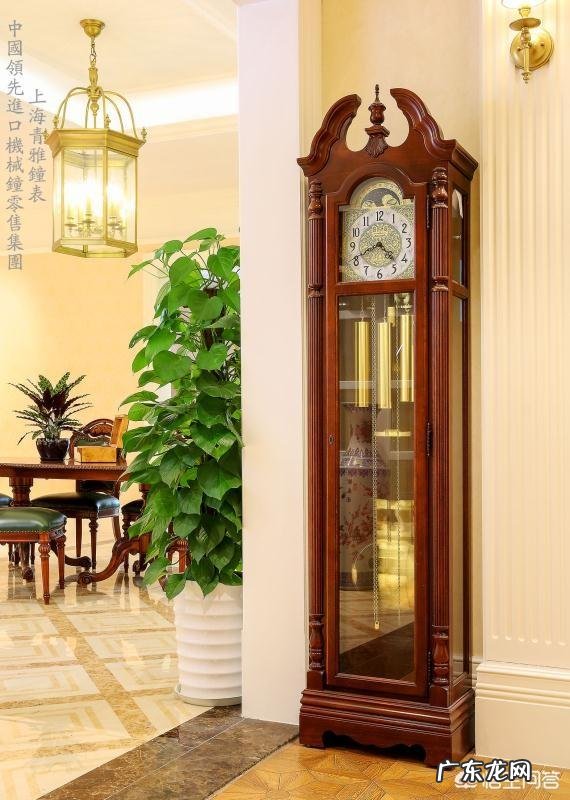 杨紫的“绝世小可爱”佟年,是怎样炼成的