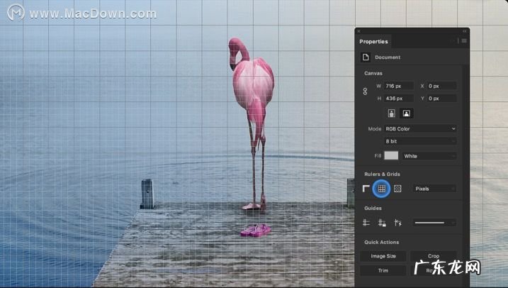 PS 2020 21.2.5中英双版下载