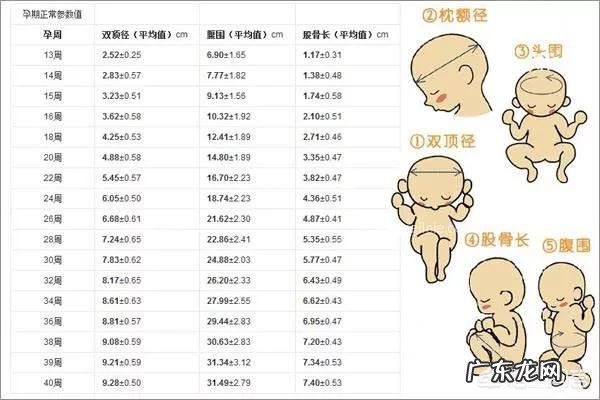 宝宝头偏大,该不该剖腹产