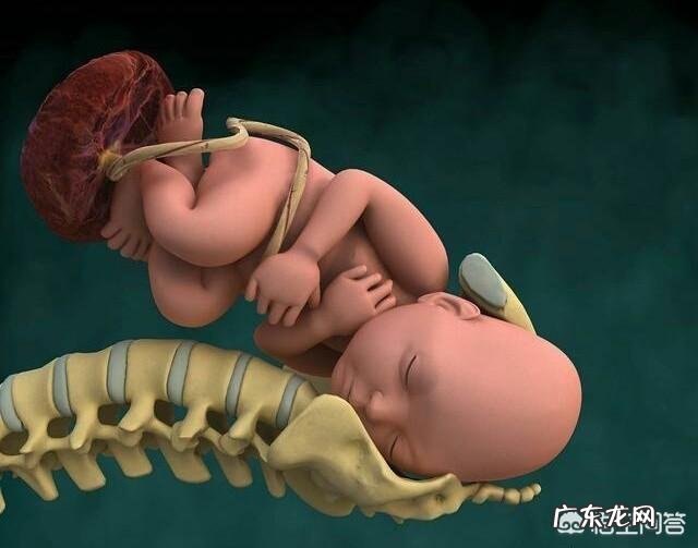 宝宝头偏大,该不该剖腹产