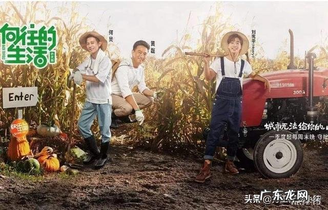 2019韩综收视率排行榜 真人秀销售额排行榜