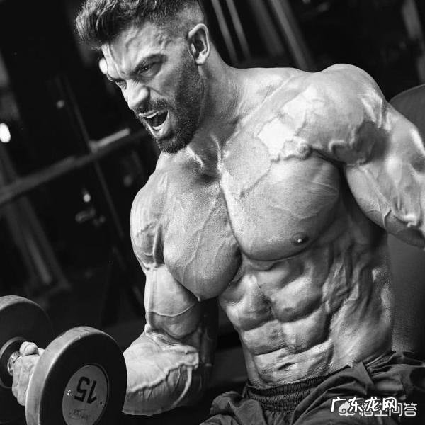 体脂12%的人过的是什么样的生活?