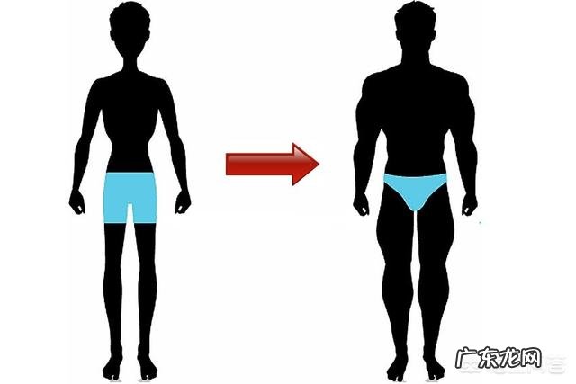 作为一个瘦子怎样增加体重?