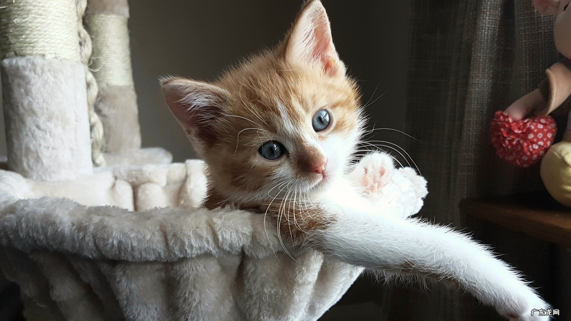 玉米有几种膨化方法,如何膨化?