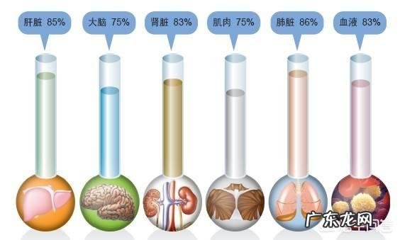 减肥期间晚上几点后不能喝水 每天至少喝多少的水?晚上就不能喝水了吗?几点以后不能喝?