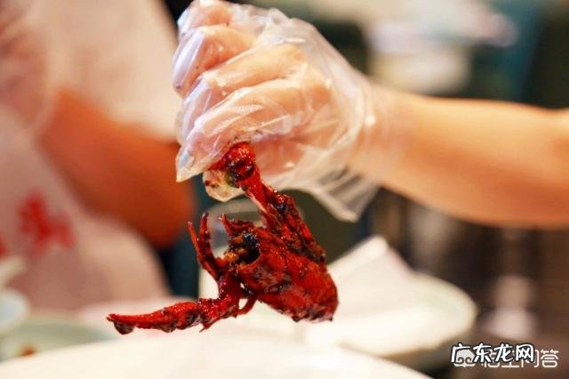 减肥要求“管住嘴”,到底该如何“管住嘴”?