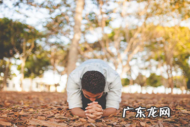 卖家怎么设置热浪联盟?退款要求有哪些?