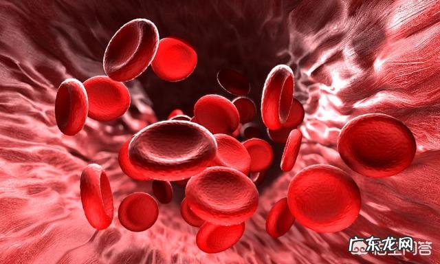 因长期吃抗抑郁症的药物导致发胖，应如何减肥？