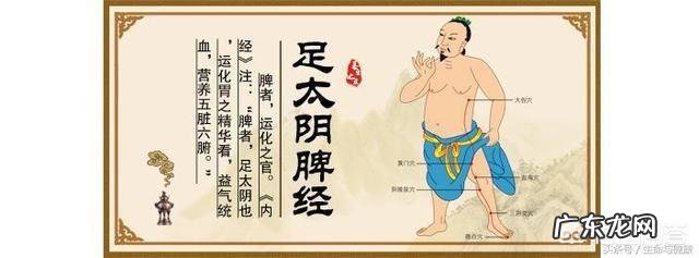 花生仁核桃,大枣气zhi血不足好用吗?