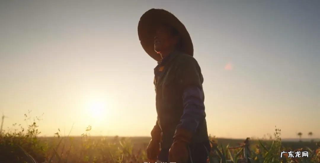 向实而行,科技大厂的数字技术“上山下乡”