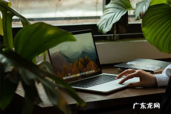 淘宝店铺如何在闲鱼做广告?需要些什么?