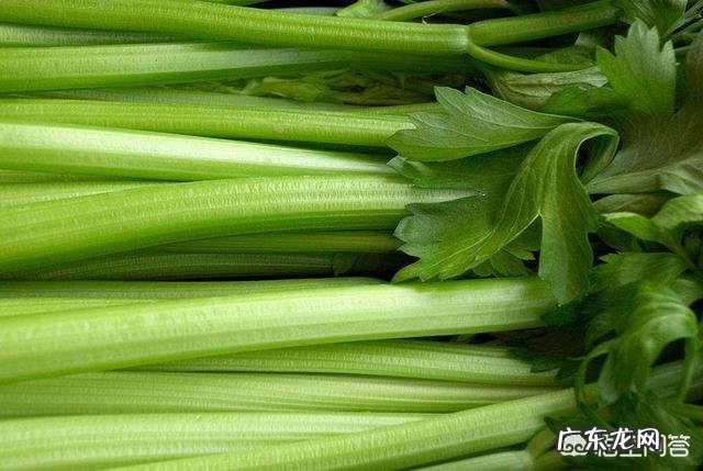 常吃哪些蔬果既能有效减肥、又能抗衰老?