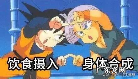 为了减脂、减体重,在运动后该怎么吃?