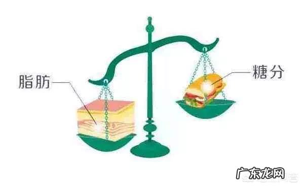 如何看待生酮饮食的安全性?