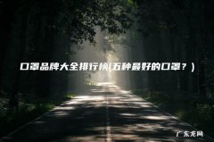 五种最好的口罩？ 口罩品牌大全排行榜
