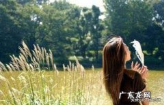 为什么明明吃的不多，却老长胖，肚子大，以前体型很好一点不胖？