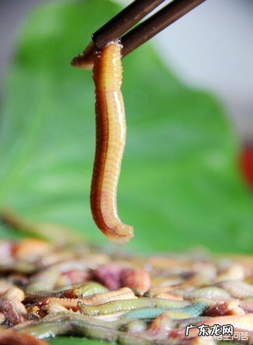 中国都有什么好吃的美食?