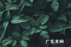 支付宝企业码是干嘛用的？有什么好处？