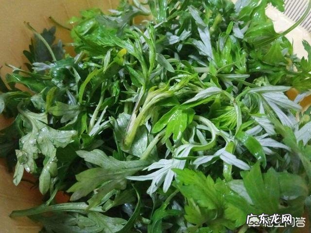 农村有些老人爱用艾叶制作枕头,艾叶枕头有啥好处呢?