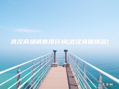 武汉商圈排名 武汉商场销售排行榜