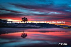 保温杯十大品牌都有哪些 保温杯10大品牌大全排行榜