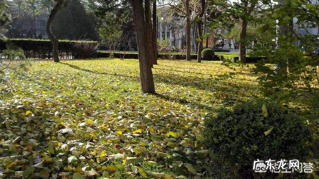 精神压力大,紧张2个月消瘦3公斤怎么调整?