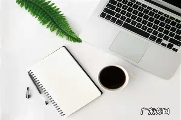 极速推定向版和极速版哪个好?能跟直通车一起吗?