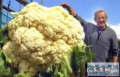 十大公认最搞笑的小说? 搞笑排行榜热门搞笑大全